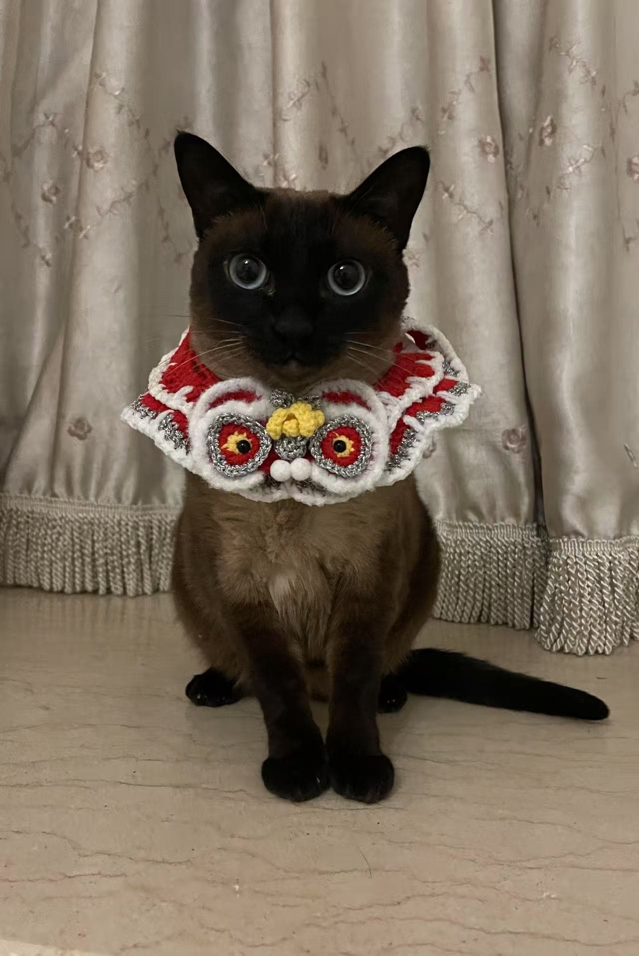 Pet portrait illustration